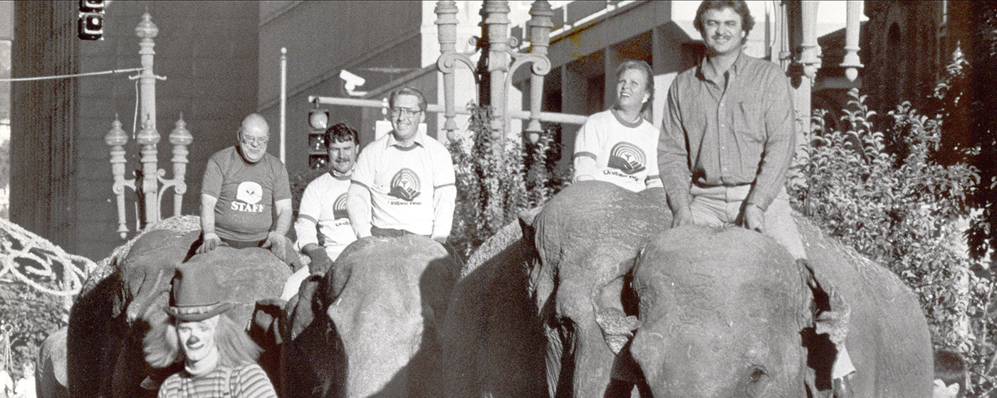 About Elephants